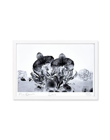 ZOOM MARC QUINN - Edition