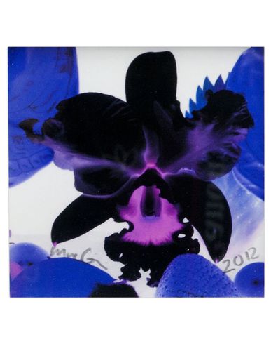ZOOM MARC QUINN - Edition