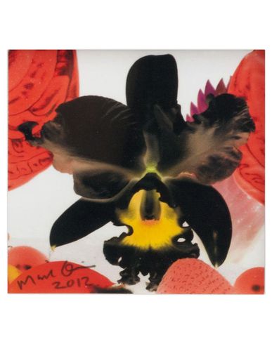 ZOOM MARC QUINN - Edition