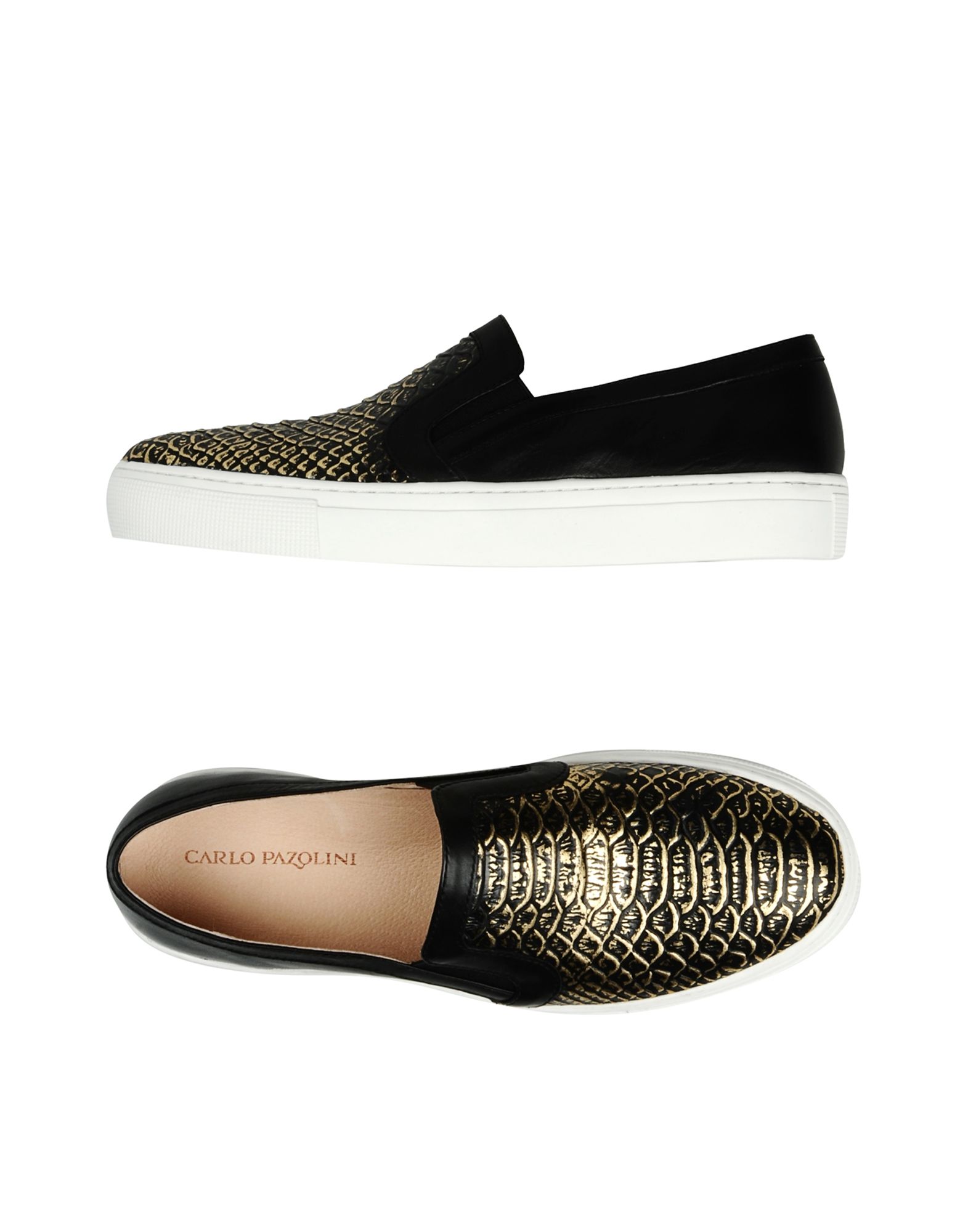 Carlo Pazolini Footwear: AW14 Collection Carlo Pazolini Footwear: AW14 Collection new foto Carlo Pazolini Footwear: AW14 Collection Carlo Pazolini Footwear: AW14 Collection new photo