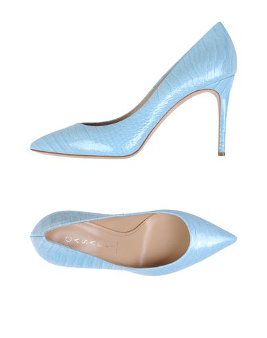 ZOOM CASADEI - Court