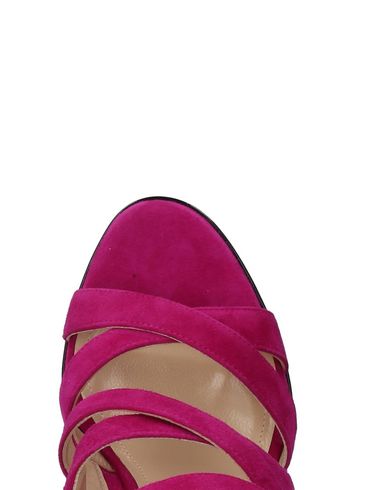 PAUL ANDREW PAUL ANDREW