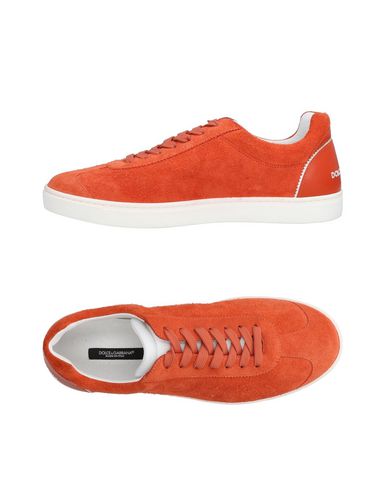 ZOOM DOLCE & GABBANA - Sneakers