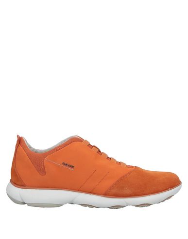 ZOOM GEOX - Sneakers