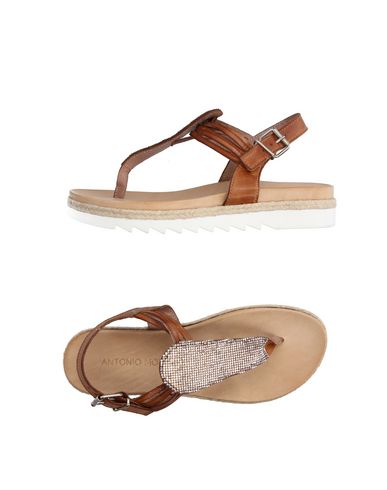 Venta de liquidación de temporada Sandalias De Dedo Antonio Moretto Mujer - Sandalias De Dedo Antonio Moretto - 11218349PC Venta de liquidación de temporada Sandalias De Dedo Antonio Moretto Mujer - Sandalias De Dedo Antonio Moretto - 11218349PC