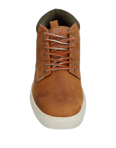 lacet timberland camel