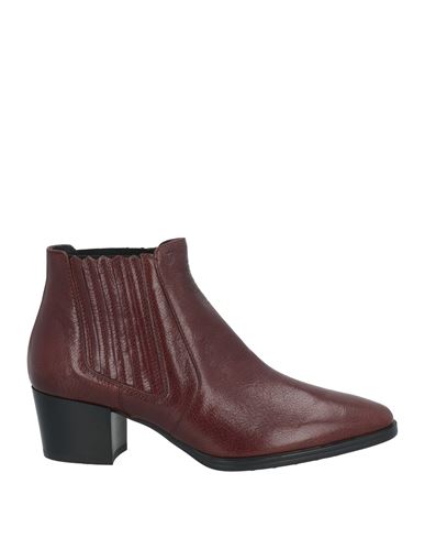 Tod's Ankle Boots In Cocoa