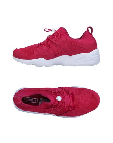 Zapatillas Puma Mujer - Zapatillas Puma - 11333902TH Fucsia Zapatillas Puma Mujer - Zapatillas Puma - 11333902TH Fucsia