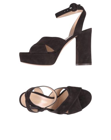 Zapatos de mujer baratos zapatos de mujer Sandalia Gianvito Rossi Mujer - Sandalias Gianvito Rossi - 11356559SH Café Zapatos de mujer baratos zapatos de mujer Sandalia Gianvito Rossi Mujer - Sandalias Gianvito Rossi - 11356559SH Café
