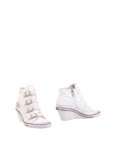 Cómodo y bien parecido Botín Ash Mujer - Botines Ash - 11365501TB Cómodo y bien parecido Botín Ash Mujer - Botines Ash - 11365501TB