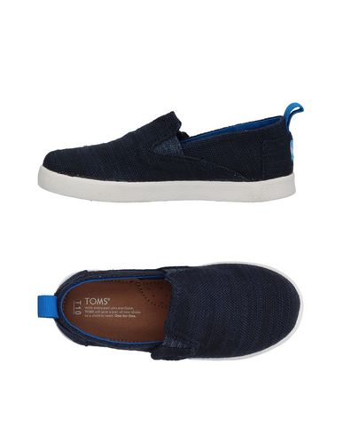 toms bambino