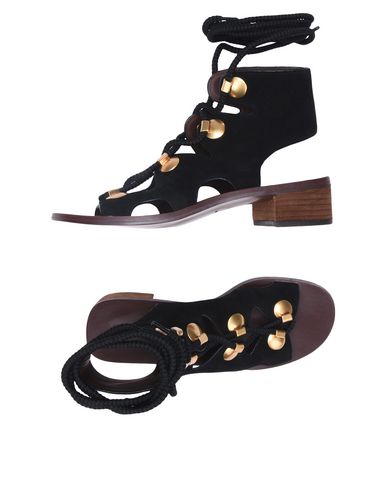 Los zapatos más populares para hombres y mujeres Sandalia See By Chloé Mujer - Sandalias See By Chloé - 11380393KI Negro Los zapatos más populares para hombres y mujeres Sandalia See By Chloé Mujer - Sandalias See By Chloé - 11380393KI Negro