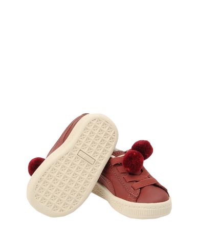 puma 24 mois puma 24 mois