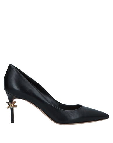 ZOOM DSQUARED2 - Pump