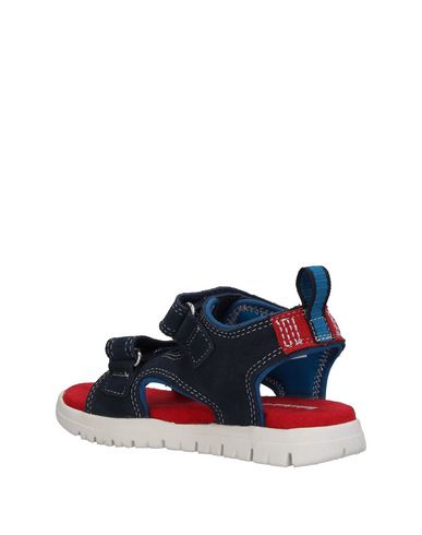 TIMBERLAND TIMBERLAND Sandalen Sandalen Sandalen TIMBERLAND qxvwEHp8Y