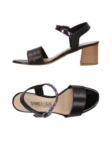 Casual salvaje Sandalia Andrea Catini Mujer - Sandalias Andrea Catini - 11430209XS Berenjena Casual salvaje Sandalia Andrea Catini Mujer - Sandalias Andrea Catini - 11430209XS Berenjena