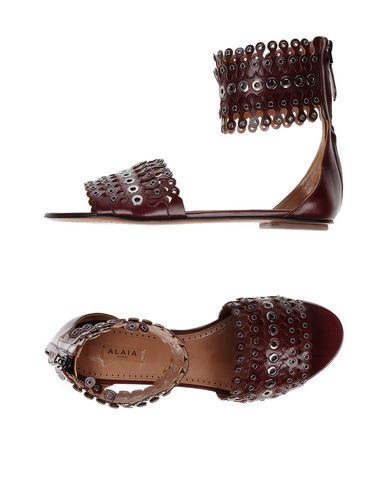 Zapatos de mujer baratos zapatos de mujer Sandalia Alaïa Mujer - Sandalias Alaïa - 11438475XM Berenjena Zapatos de mujer baratos zapatos de mujer Sandalia Alaïa Mujer - Sandalias Alaïa - 11438475XM Berenjena