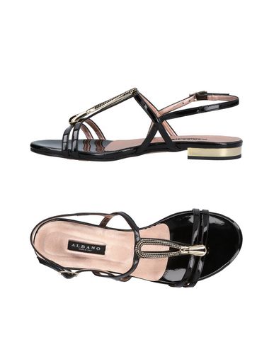 Los últimos zapatos de descuento para hombres y mujeres Sandalia Albano Mujer - Sandalias Albano - 11456037WA Negro Los últimos zapatos de descuento para hombres y mujeres Sandalia Albano Mujer - Sandalias Albano - 11456037WA Negro