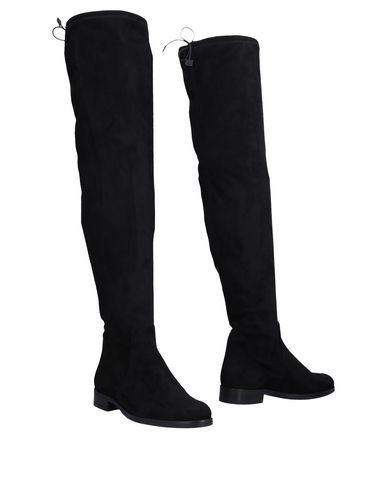 Bota Angelo Bervicato Mujer - Botas Angelo Bervicato - 11460363WF Bota Angelo Bervicato Mujer - Botas Angelo Bervicato - 11460363WF