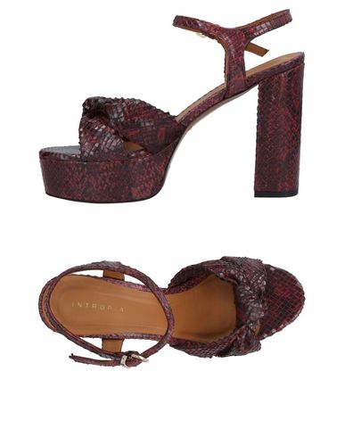 Los zapatos más populares para hombres y mujeres Sandalia Intropia Mujer - Sandalias Intropia - 11467619IE Burdeos Los zapatos más populares para hombres y mujeres Sandalia Intropia Mujer - Sandalias Intropia - 11467619IE Burdeos