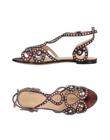 Zapatos de mujer baratos zapatos de mujer Sandalia Charlotte Olympia Mujer - Sandalias Charlotte Olympia - 11487369RI Café Zapatos de mujer baratos zapatos de mujer Sandalia Charlotte Olympia Mujer - Sandalias Charlotte Olympia - 11487369RI Café