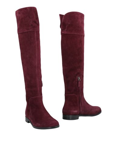 Bota Pavin Mujer - Botas Pavin - 11489349MK Bota Pavin Mujer - Botas Pavin - 11489349MK