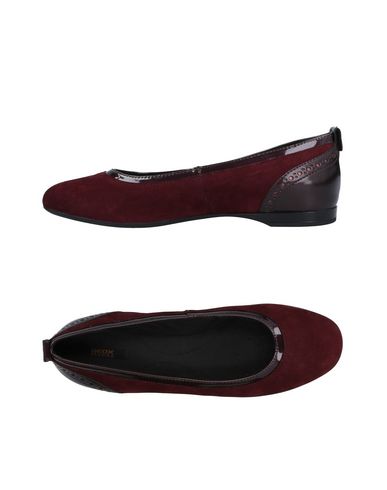 Descuento de la marca Bailarina Geox Mujer - Bailarinas Geox - 11499002UH Descuento de la marca Bailarina Geox Mujer - Bailarinas Geox - 11499002UH