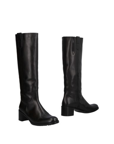 Bota Studio Pollini Mujer - Botas Studio Pollini - 11503789PG Bota Studio Pollini Mujer - Botas Studio Pollini - 11503789PG