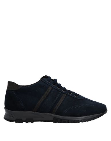 Zapatos con descuento Zapatillas Roberto Della Croce Hombre - Zapatillas Roberto Della Croce - 11529894RM Azul oscuro Zapatos con descuento Zapatillas Roberto Della Croce Hombre - Zapatillas Roberto Della Croce - 11529894RM Azul oscuro