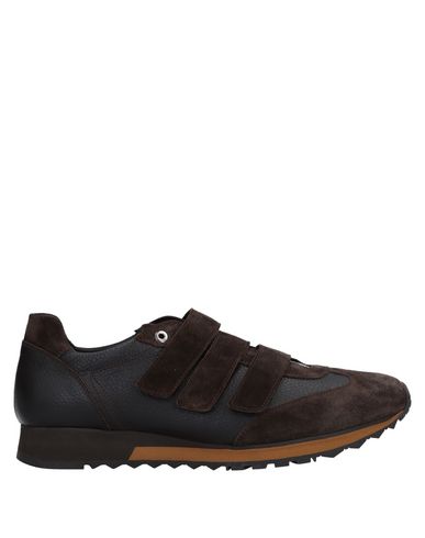 Zapatos con descuento Zapatillas Pertini Hombre - Zapatillas Pertini - 11534441TB Café Zapatos con descuento Zapatillas Pertini Hombre - Zapatillas Pertini - 11534441TB Café