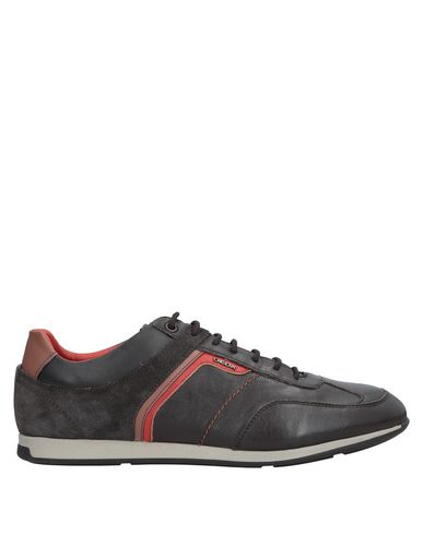 Zapatos con descuento Zapatillas Geox Hombre - Zapatillas Geox - 11540103MG Marrón Zapatos con descuento Zapatillas Geox Hombre - Zapatillas Geox - 11540103MG Marrón
