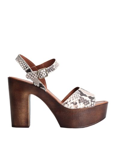 ZOOM STEVE MADDEN - Sandals