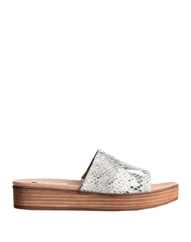 ZOOM STEVE MADDEN - Sandals