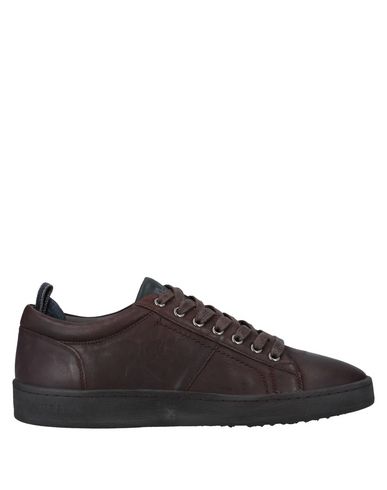 ZOOM REPLAY - Sneakers