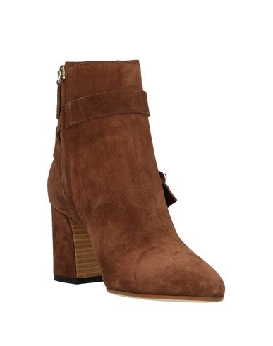 Tod's Ankle Boots In Brown