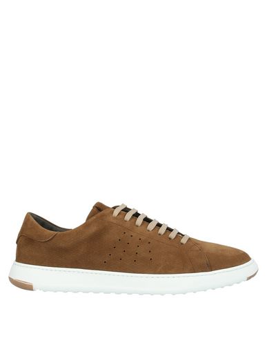 Fabiano Ricci Sneakers In Brown