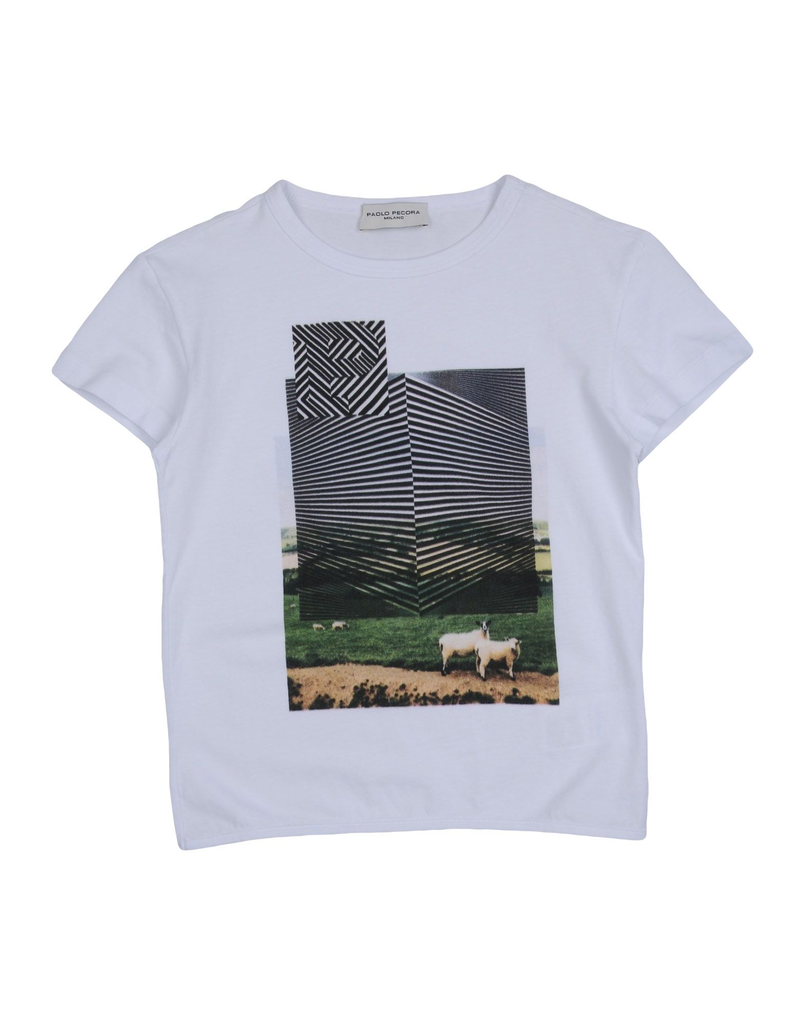 mizuno maglie termiche