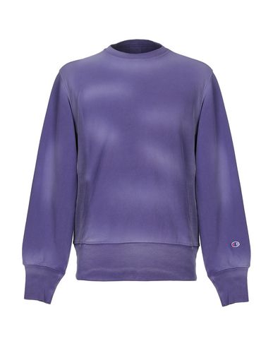 lilac champion jumper