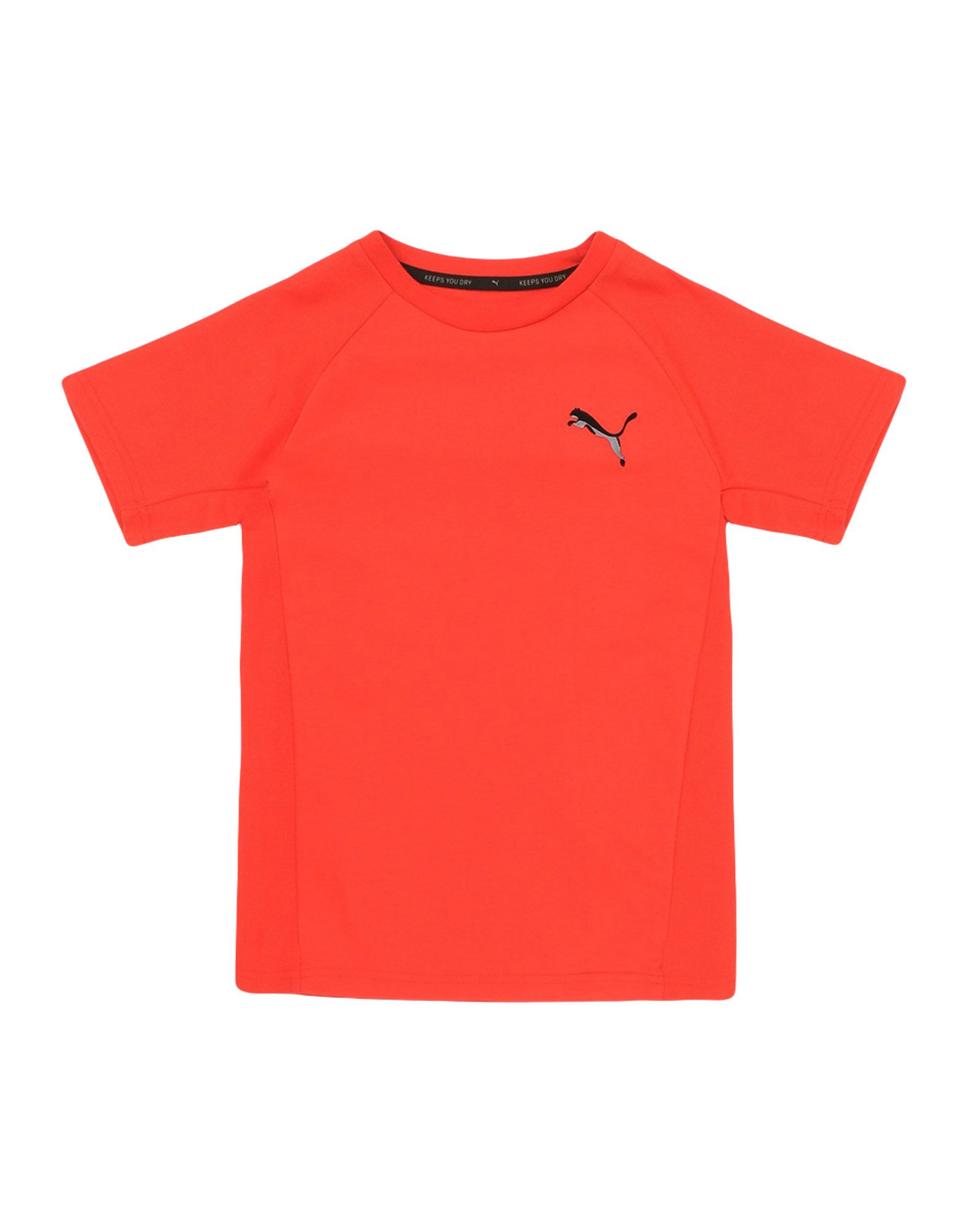 puma t shirt keeps you dry