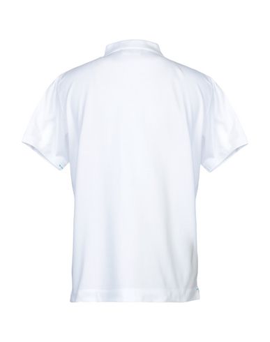 company polo shirt