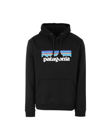 hooded patagonia