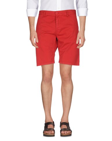 beverly hills polo club stretch shorts