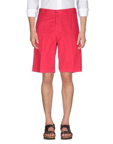 paul and shark shorts sale