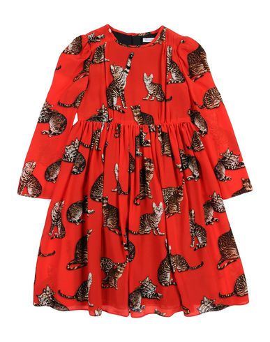 ZOOM DOLCE & GABBANA - Dress