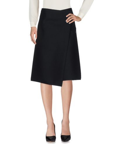 ZOOM CELINE - Midi Skirts