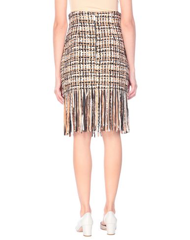 Elisabetta Franchi Mini Skirts In Black