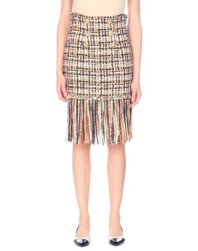 Elisabetta Franchi Mini Skirts In Black