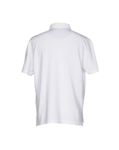 Shop Drumohr Man Polo Shirt White Size 3xl Cotton