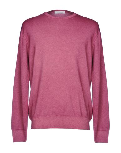 Cruciani Sweaters In Mauve