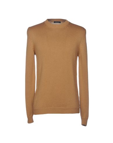 Roberto Collina In Camel